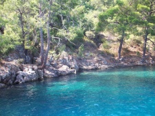 Tarzan Bucht 2